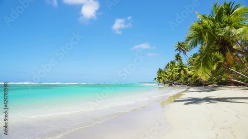 Palm trees beach and sea 4k background. The best beaches in the world. Paradise island on the shores of the Indian Ocean. Thailand beach on a summer sunny day stock video footage.