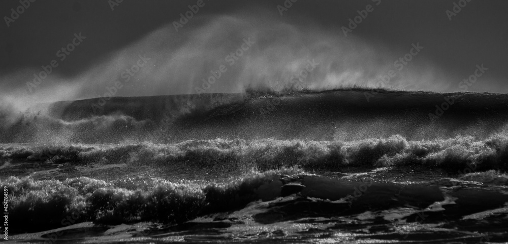 big waves in black and white