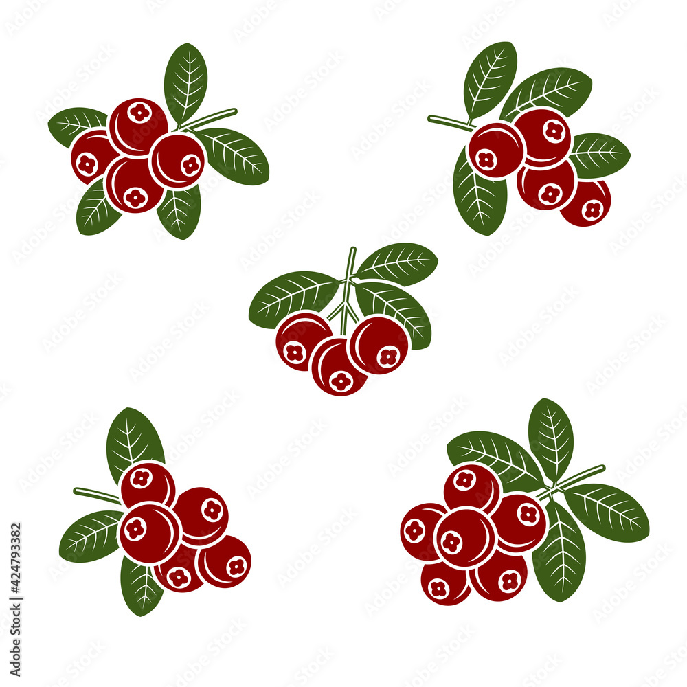 Cranberry set. Collection icon cranberry. Vector Cranberry set. Collection icon cranberry. Vector