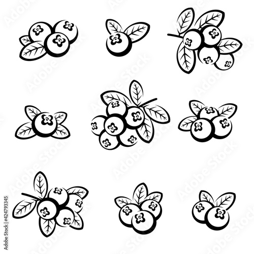 Cranberry set. Collection icon cranberry. Vector