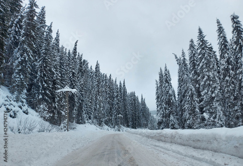 Beautiful natural winter landscape, stunning mountain views.The concept of tourism.Idyllic view of spruces covered in snow.