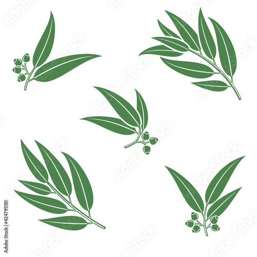 Eucalyptus set. Collection icon eucalyptus. Vector
