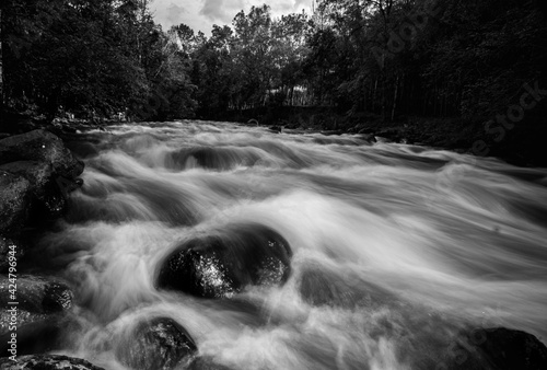 resting in the otún river