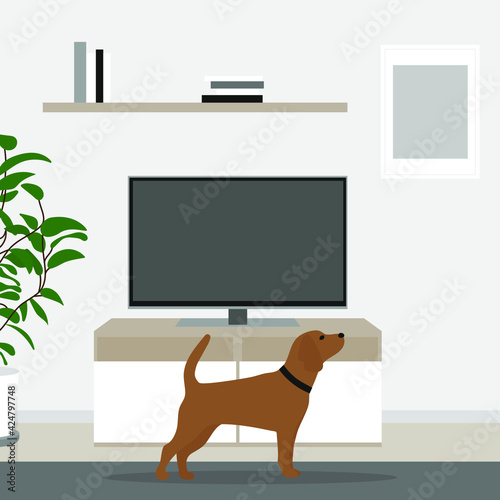Dog with a collar in a room with a TV, a plant, a bookshelf and a painting on the wall