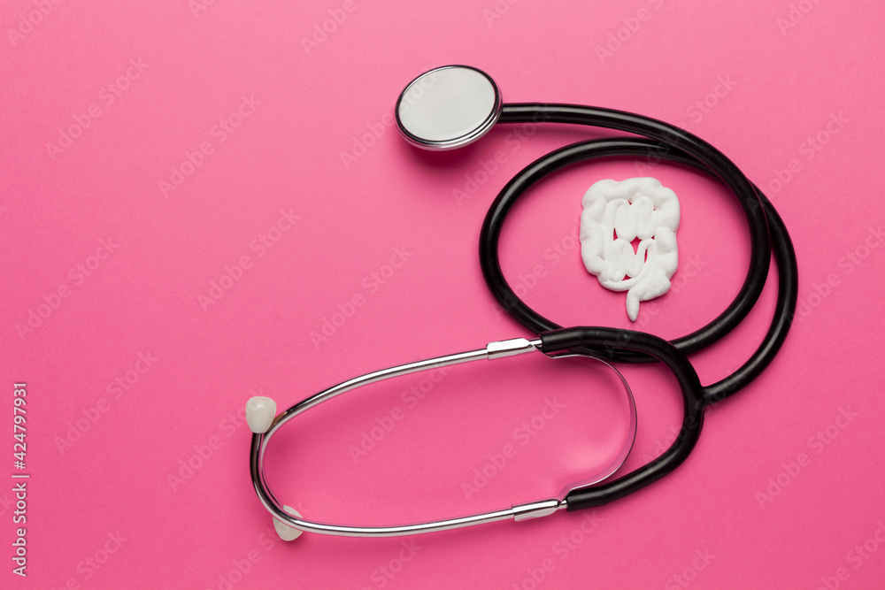Fototapeta premium Treatment and prevention of diseases of the gastrointestinal tract. Human intestine model with stethoscope.