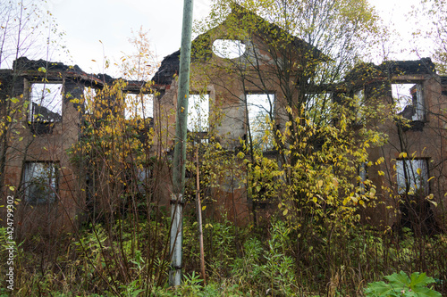 abandoned building overgrown with plants