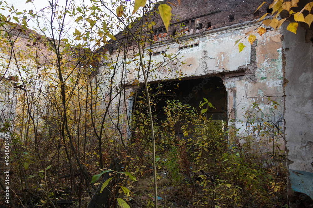 abandoned building overgrown with plants abandoned building overgrown with plants