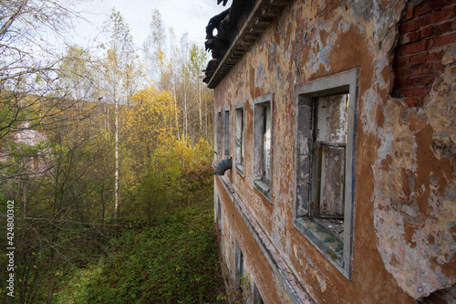 abandoned building overgrown with plants