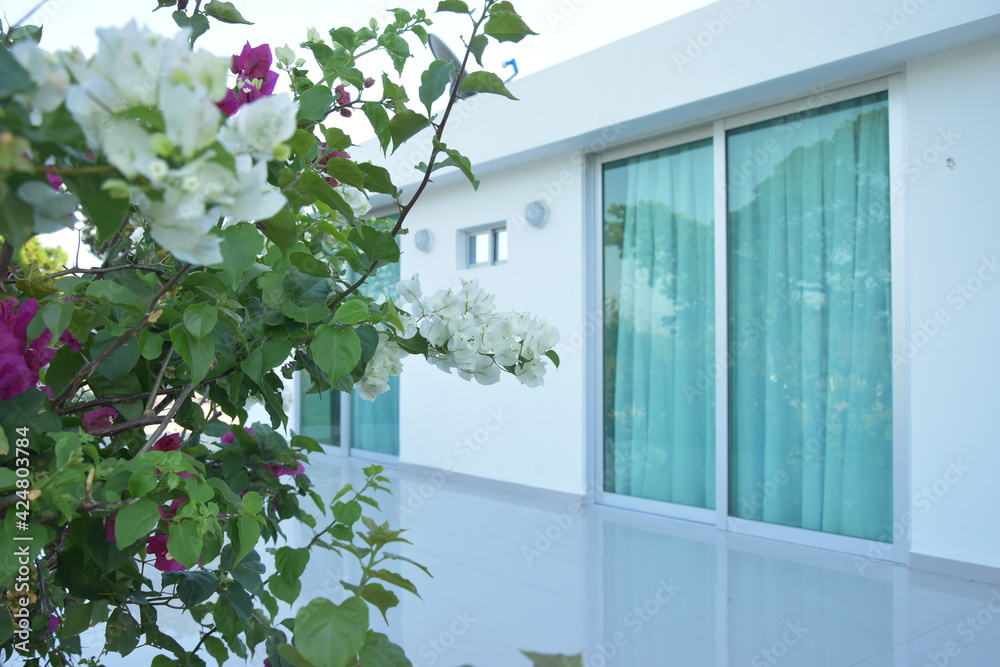 Flores blanca y rojas con ramas verdes y al fondo casa con ventanas de ...