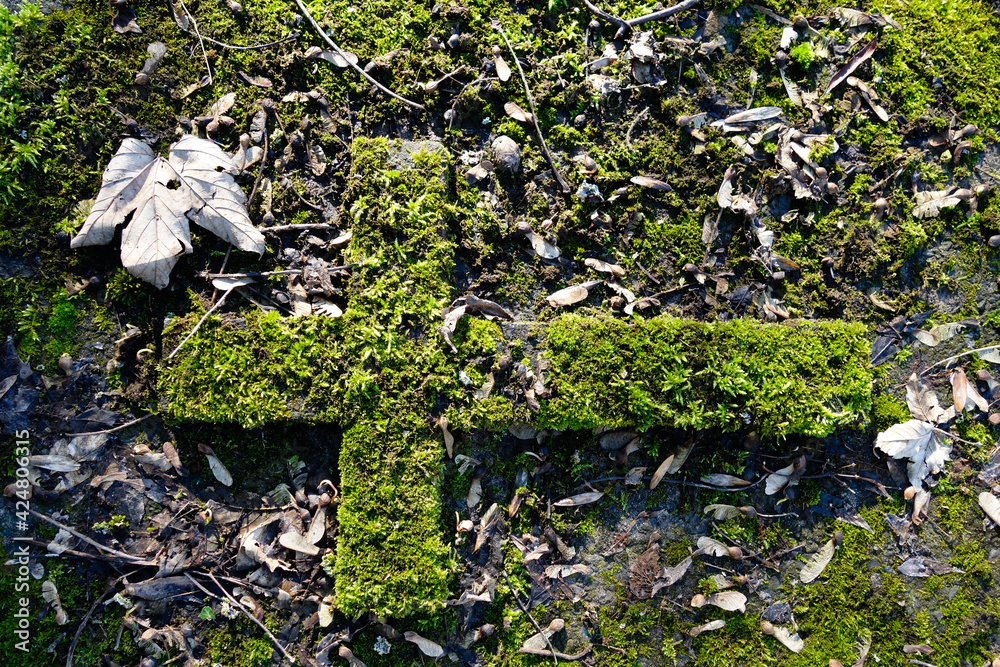 Croix moussue sur une tombe - Gros plan Croix moussue sur une tombe - Gros plan