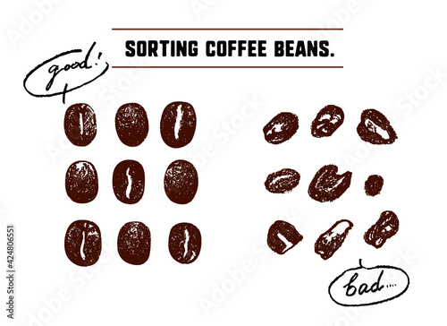 コーヒー豆を選別するイラスト。良い豆と悪い豆を分ける。