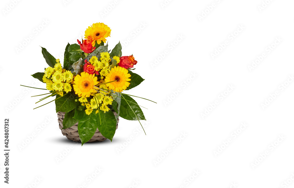 Naklejka premium yellow gerbera flowers beautiful in pots isolated​ on white​ background​ with clipping path​