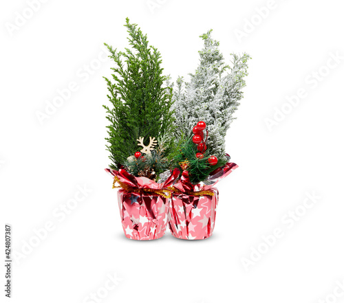 christmas tree beautiful decoration in pots isolated on white background​ with​ clipping ​path​