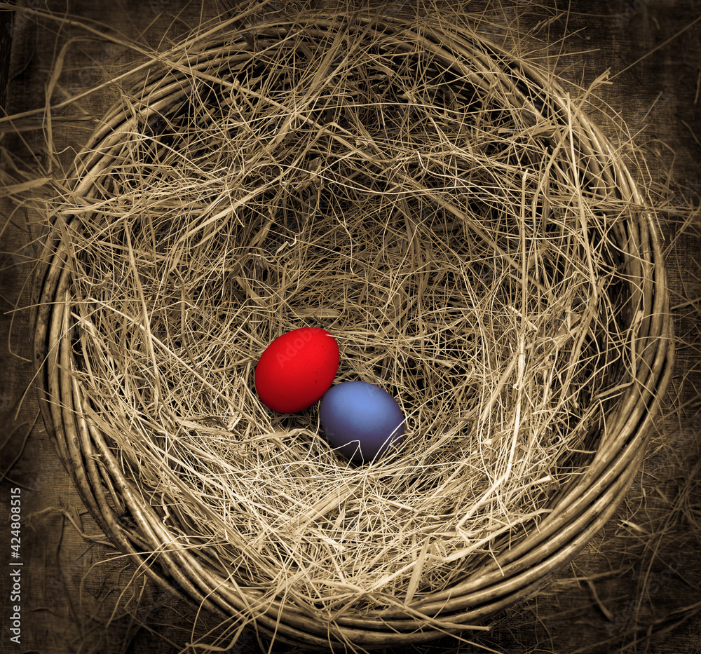 Two colored in blue and red chicken eggs in a straw nest, Easter, rustic style, table, top view, copy space Two colored in blue and red chicken eggs in a straw nest, Easter, rustic style, table, top view, copy space