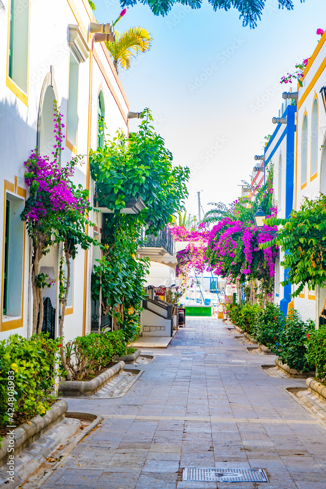 Mogán, Gran Canaria, Canary Islands, Spain