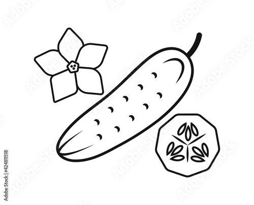 simple linear drawing vector graphics abstract logo icon cucumber cucumber slice with flower isolated black on white background