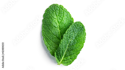 Fresh, green mint leaves on a white background.