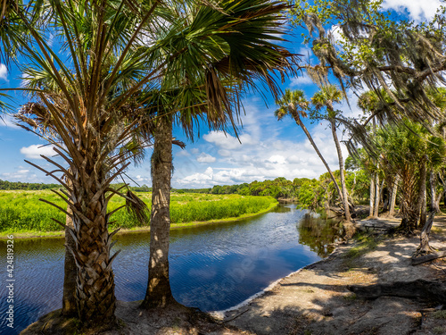 Myakka River at Fishermans Loop in Myakka River State Park in Sarasota Florida USA