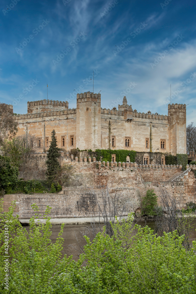 Obraz premium Panorámica del Castillo de Malpica de Tajo 