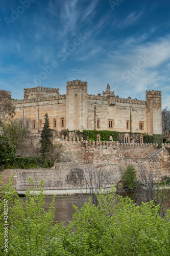 Panorámica del Castillo de Malpica de Tajo 