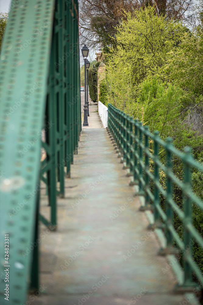 Puente de hierro sobre el Río Tajo en Malpica de Tajo