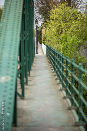 Fototapeta Naklejka Na Ścianę i Meble -  Puente de hierro sobre el Río Tajo en Malpica de Tajo