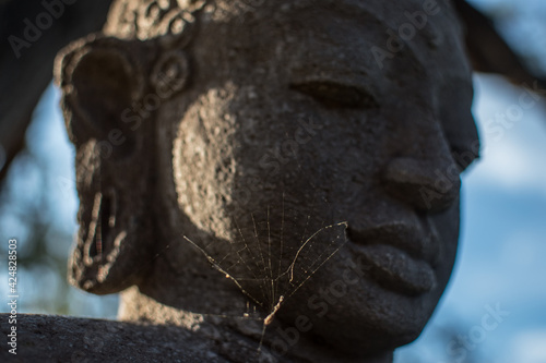 Spiderweb on Budda