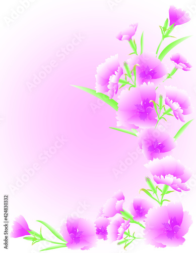 pale pink carnations with leaves and buds isolated on watercolor pink background