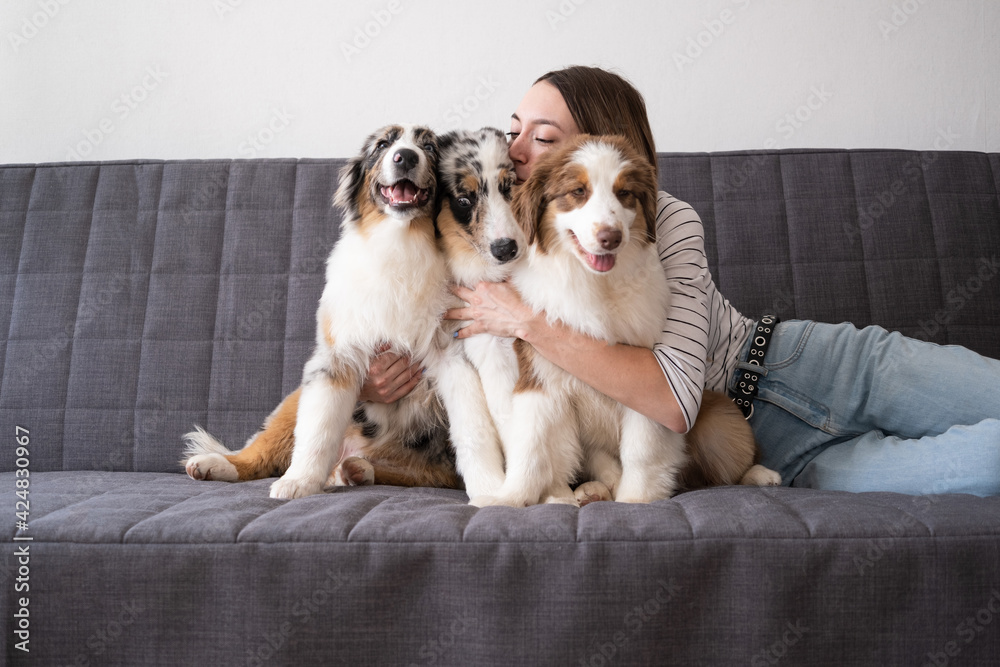  woman hugs with three merle colours Australian shepherd puppy dog on couch