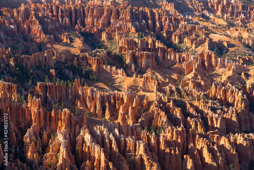 Wide shot of Bryce Canyon National Park in Utah