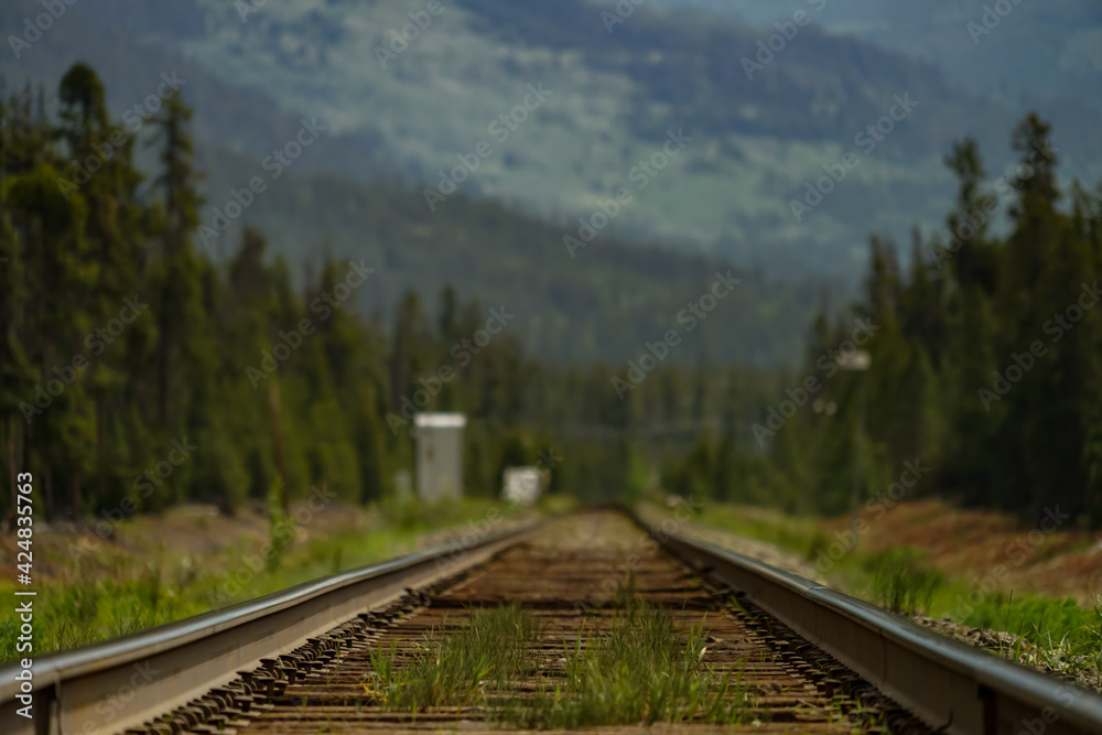 Fototapeta premium Railway