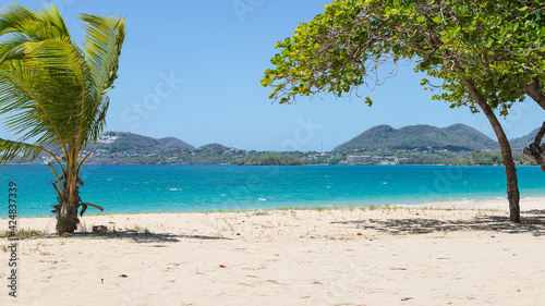Fototapeta Naklejka Na Ścianę i Meble -  tropical sandy beach on a bright day