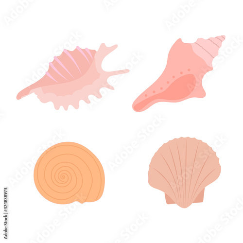 Set of seashells on white background. Collection of seashells in pink shades. 