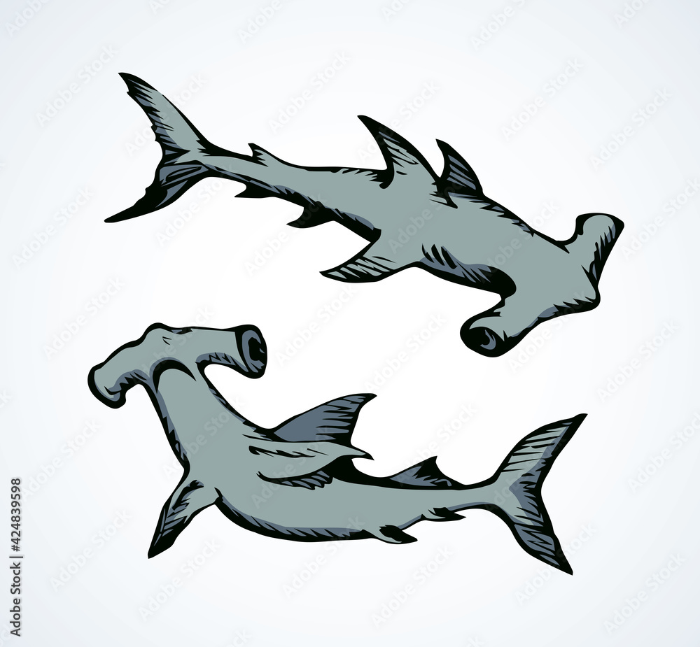 Fototapeta premium Seaweed. Vector drawing