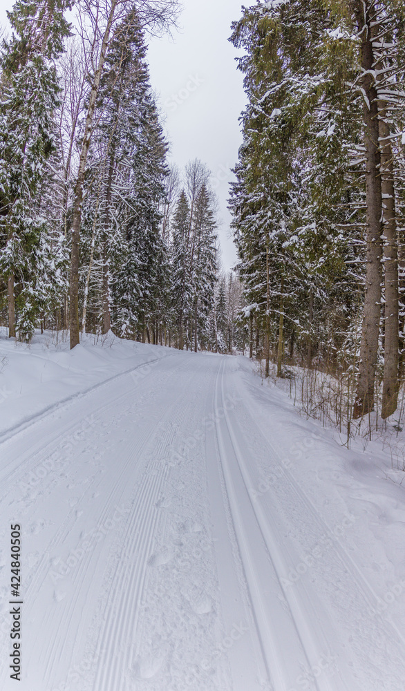 Obraz premium road in snow