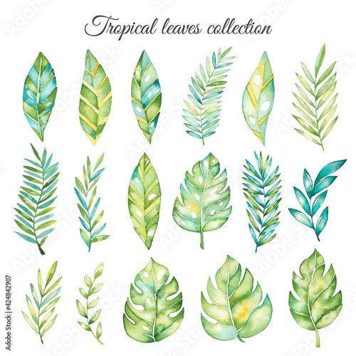 Watercolor tropical leaves collection