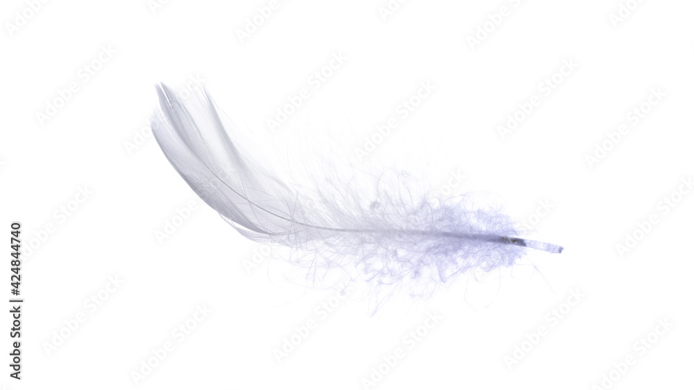 Obraz premium Feather air. Multicoloured pastel angel feather closeup texture isolated on white background in macro photography, soft focus. Concept of sensitivity responsiveness to nature.