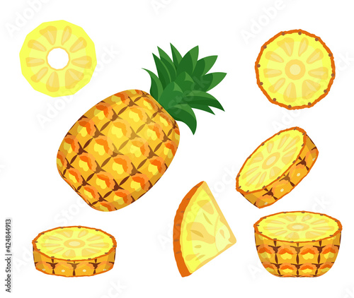 Vector illustration of sliced pineapple on a white background