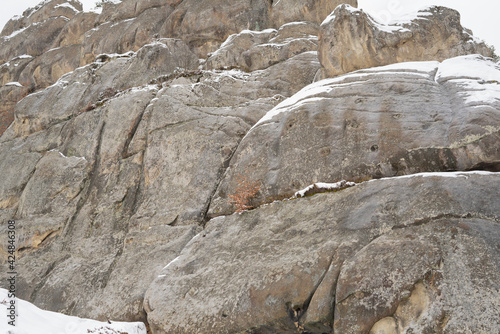 High cliffs are the remains of an ancient fortress and a winter forest. Tustan. Carpathians. Ukraine.