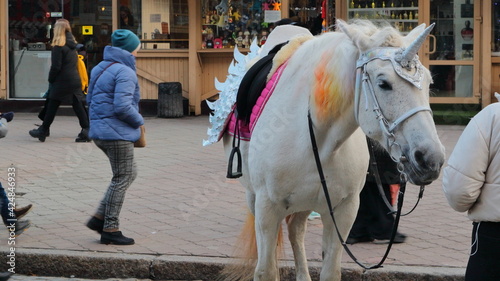 A beautiful white horse with a bright veil and a decorative unicorn horn on its head on one of the city's pedestrian streets attracts tourists.