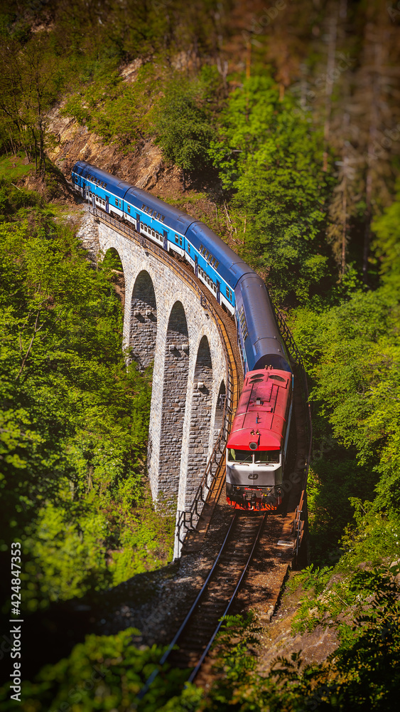 Fototapeta premium Train on Zampach viaduct, Czech Republic