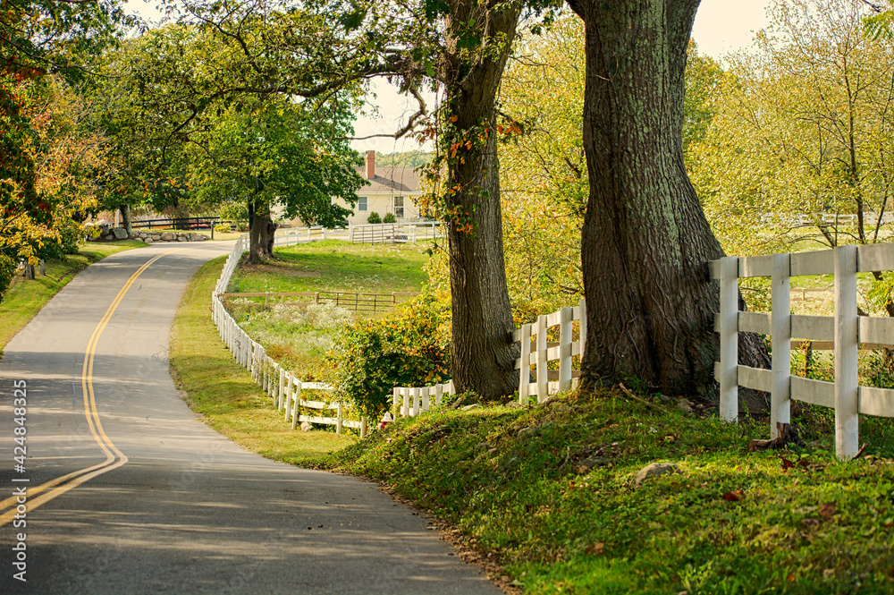 Obraz premium Scenic country road winding thru farmland