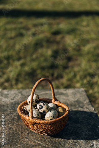 quail eggs in the basket with green background