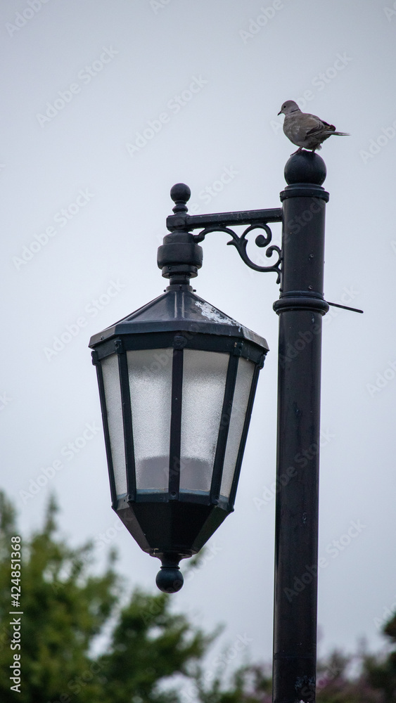 street light close up 