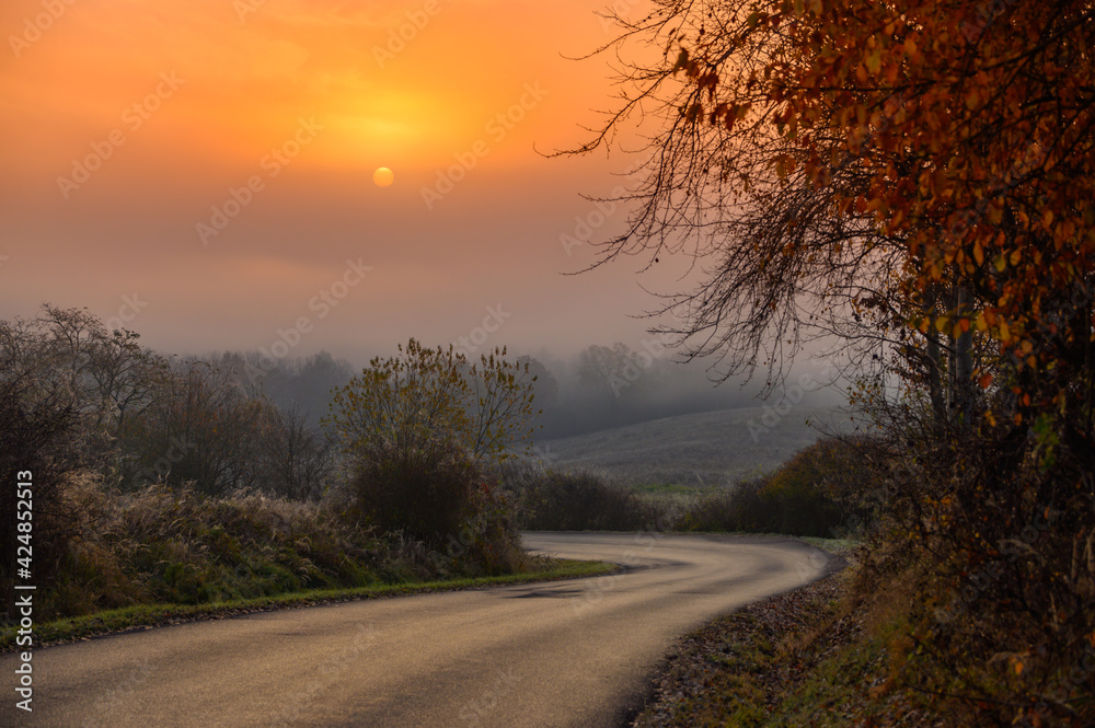 Road in autumn morning, sunrise in background. Warm colors