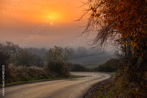 Road in autumn morning, sunrise in background. Warm colors