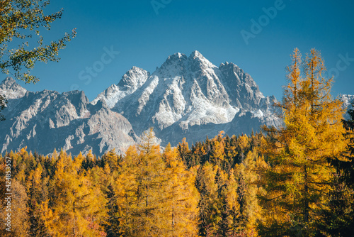 Autumn in mountains, snow on the hill, autumn yellow trees