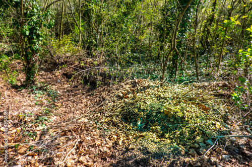 Wildly dumped garden waste in nature