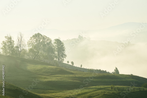 Foggy morning in the mountains