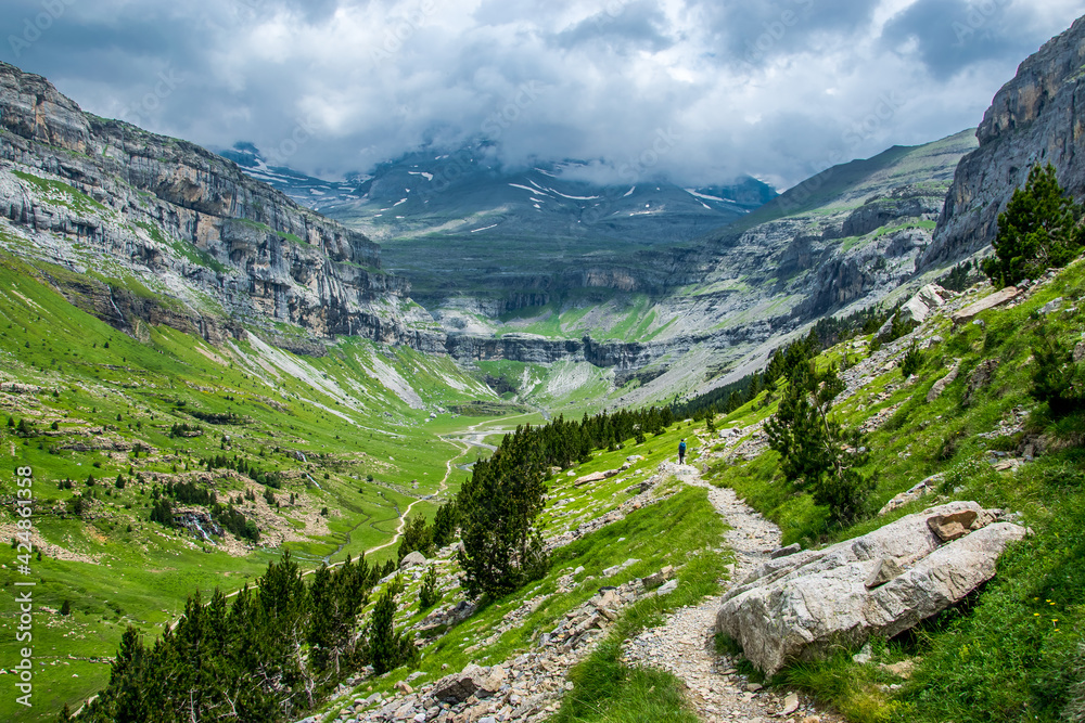 Un camino de alta montaña recorre la ladera de un valle glaciar en dirección al circo atravesando praderas y pinos bajo un cielo que amenaza tormenta en el Parque Nacional de Ordesa, en los Pirineos e